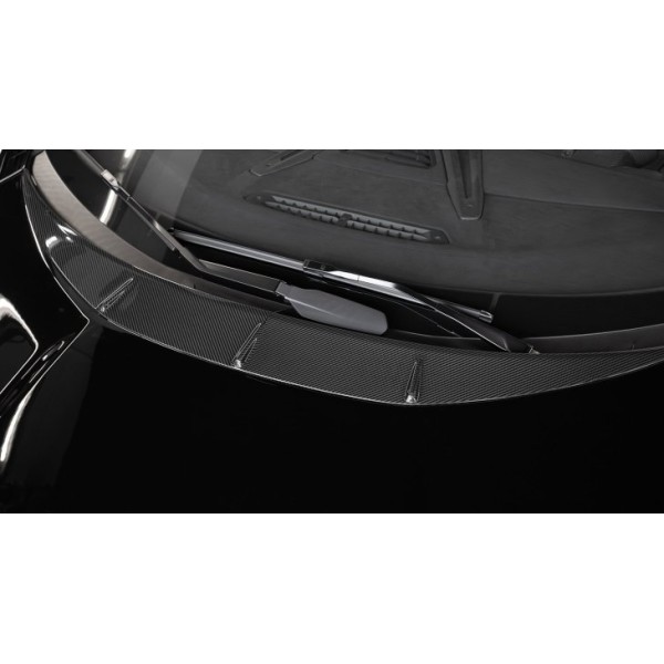 Insert de capot avant Carbone NOVITEC pour LAMBORGHINI Revuelto