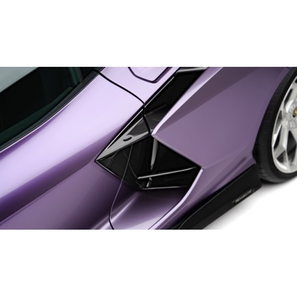 Inserts d'ailes Carbone NOVITEC pour LAMBORGHINI Revuelto
