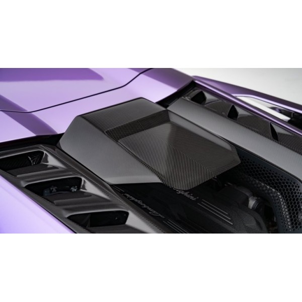 Prise d'air capot arrière Carbone NOVITEC pour LAMBORGHINI Revuelto Prise d'air capot arrière Carbone NOVITEC pour LAMBORGHINI Revuelto