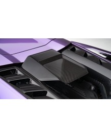 Prise d'air capot arrière Carbone NOVITEC pour LAMBORGHINI Revuelto