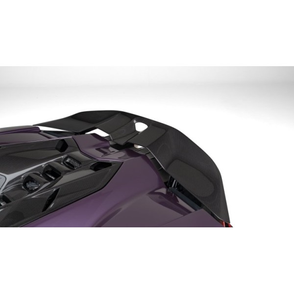 Aileron arrière Carbone NOVITEC pour LAMBORGHINI Revuelto