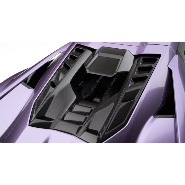 Cache moteur arrière Carbone NOVITEC pour LAMBORGHINI Revuelto