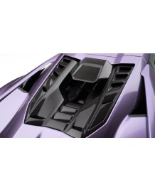 Cache moteur arrière Carbone NOVITEC pour LAMBORGHINI Revuelto