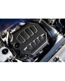 Cache moteur Carbone EVENTURI pour VW GOLF 8 GTI / 8R