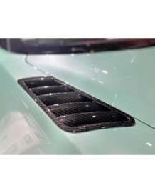 Kit Ecopes Ailes avant RACE en carbone EVOX pour ALPINE A110 R S GT