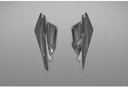 Caches moteur Carbone CAPRISTO pour FERRARI 458 Italia Caches moteur Carbone CAPRISTO pour FERRARI 458 Italia