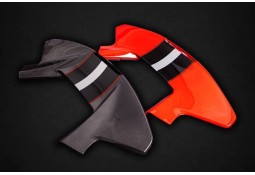 Aileron arrière Carbone CAPRISTO pour FERRARI 488 PISTA Aileron arrière Carbone CAPRISTO pour FERRARI 488 PISTA