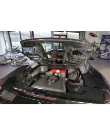 Capot moteur carbone avec vitre CAPRISTO pour FERRARI 458 Spider