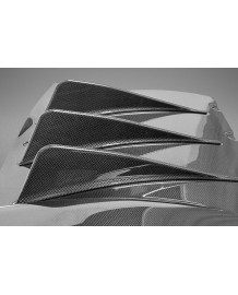 Diffuseur arrière Carbone CAPRISTO pour FERRARI 458 Italia / Spider