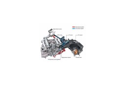 Pack 5 Injecteurs MPI EA855 980cc pour 2.5 TFSI AUDI RS3 8V2 8Y TTRS 8S (DAZA/DNWA/DNWC) Pack 5 Injecteurs MPI EA855 980cc pour 2.5 TFSI AUDI RS3 8V2 8Y TTRS 8S (DAZA/DNWA/DNWC)
