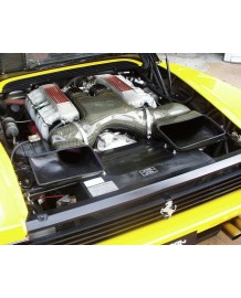 Admission Carbone GruppeM pour FERRARI TESTAROSSA 5.0 V12 (1984-1991)