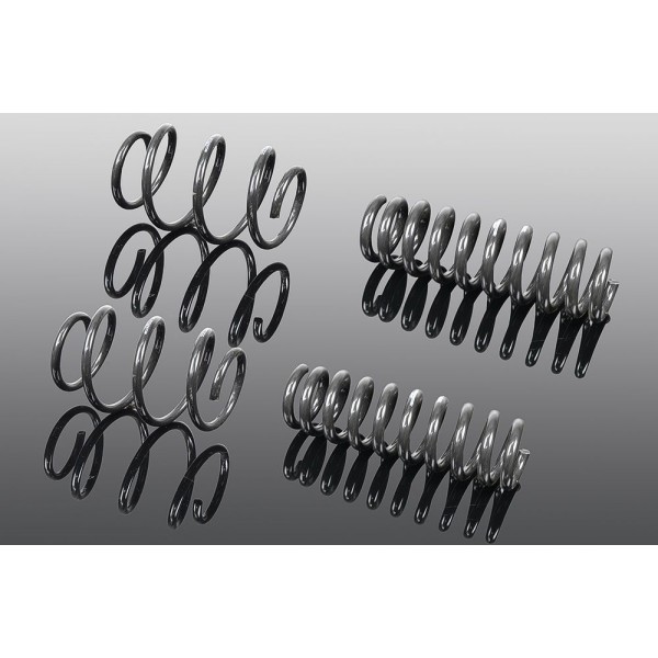 Ressorts courts AC Schnitzer pour MINI Cooper E SE JCW Electric J01 (2024+)