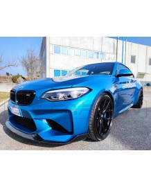 Spoiler avant Carbone CT CARBON pour BMW M2 F87 N55 (2014-2017)(V4)