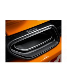 Echappement AKRAPOVIC McLaren MP4-12C - Silencieux