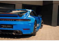 Aero Wings carbone TECHART...