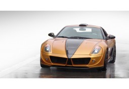 Kit carrosserie Mansory STALLONE pour Ferrari 599 GTB