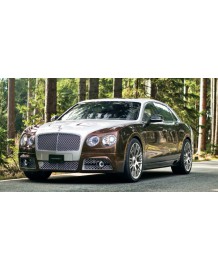 Kit carrosserie Mansory pour Bentley Flying Spur (2014-)