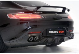 Ligne d'échappement sport BRABUS en titane pour Mercedes AMG GT (C217)