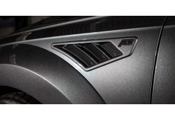 Ouïes d'air latérales ABT pour AUDI RS6 (4G05)