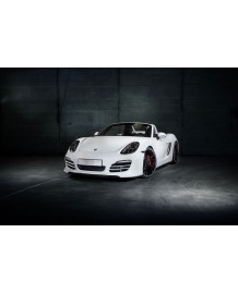 Spoiler avant TECHART Porsche Boxster 981 (2012-)