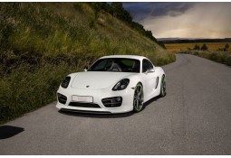 Spoiler avant TECHART Porsche Cayman 981 (2012-)