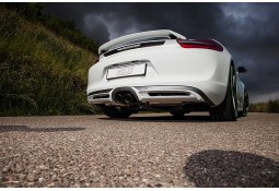 Diffuseur arrière TECHART Porsche Cayman / Boxster 981 (2012-)