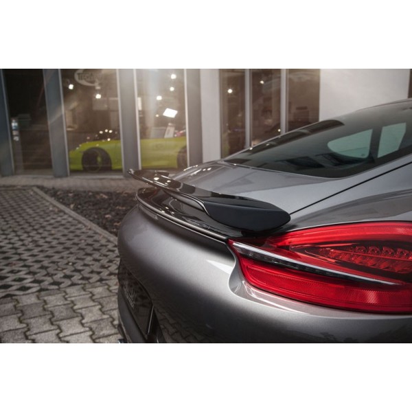 Becquet I TECHART Porsche Cayman 981 (2012-) Becquet I TECHART Porsche Cayman 981 (2012-)
