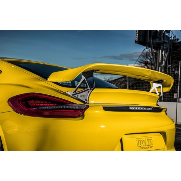 Becquet II TECHART Porsche Cayman 981 (2012-) Becquet II TECHART Porsche Cayman 981 (2012-)