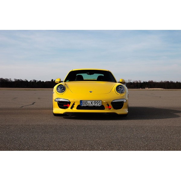 Aéro Wings TECHART Porsche 991.1 (2012-2016)