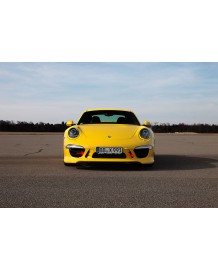 Aéro Wings TECHART Porsche 991.1 (2012-2016)