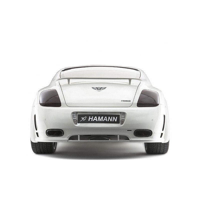 Becquet Bentley Continental Gt Hamann Distributeur