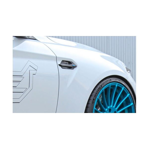 Décoration d'ailes HAMANN pour Bmw M2 (F87)(2016-)