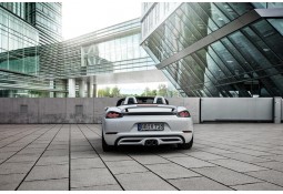 Becquet arrière TECHART pour Porsche 718 Cayman / Boxster + S + GTS + T