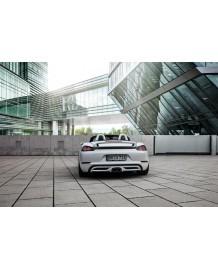 Becquet arrière TECHART pour Porsche 718 Cayman / Boxster + S + GTS + T