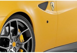 Clignotants Latéraux Teintés NOVITEC Ferrari FF