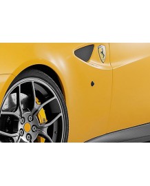 Clignotants Latéraux Teintés NOVITEC Ferrari FF