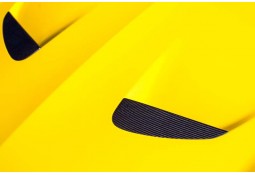 Inserts de Capot Avant carbone NOVITEC Ferrari California T