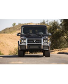 Pare-buffle pour Mercedes Classe G63 G65 AMG (W463) (1989-) 