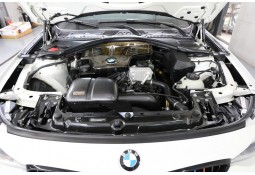 Kit d'admission d'air carbone ARMA SPEED pour BMW 320i / 328i (F30) (2011-2015)