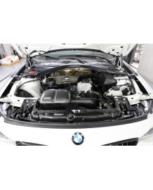 Kit d'admission d'air carbone ARMA SPEED pour BMW 320i / 328i (F30) (2011-2015)