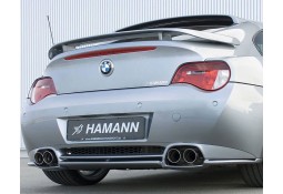 Diffuseur Arrière HAMANN BMW Z4 M (E85/E86)