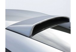 Becquet de Toit HAMANN BMW Z4 M (E86)