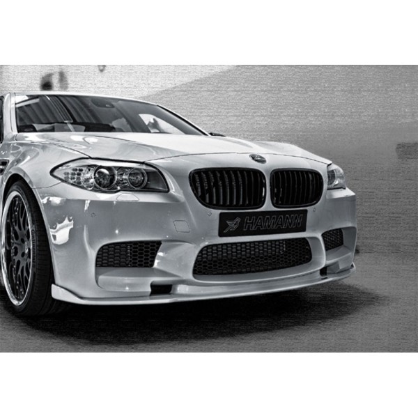 Spoiler Avant HAMANN BMW M5 (F10)