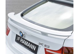 Becquet de Coffre HAMANN BMW X6 (E71)