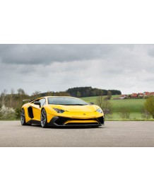 Spoiler Central Avant Carbone NOVITEC Lamborghini AVENTADOR SV (+Roadster SV)