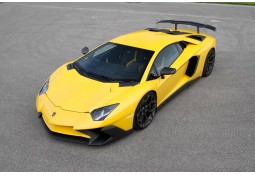 Prises d'Air capot Carbone NOVITEC Lamborghini AVENTADOR SV (+Roadster SV)