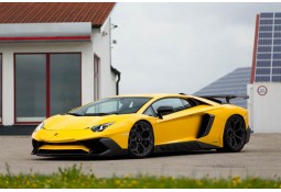 Prises d'Air Latérales Carbone NOVITEC Lamborghini AVENTADOR SV (+Roadster SV)