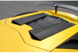 Prises d'Air Moteur NOVITEC Lamborghini AVENTADOR SV
