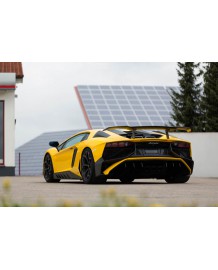 Aileron Carbone NOVITEC Lamborghini AVENTADOR SV (+Roadster SV)
