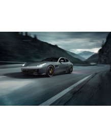 Spoiler Central Avant Carbone NOVITEC Ferrari GTC4 Lusso